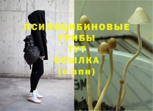Альфа ПВП Баксан