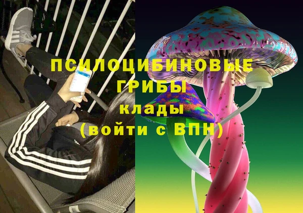 Альфа ПВП Баксан